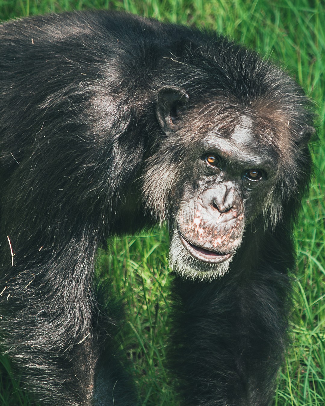 Watch out, Just Jeff is out to steal your girl. (And your carrots) 👀 🥕 

