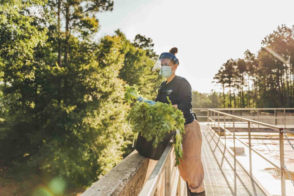 Husbandry Internship at Chimp Haven