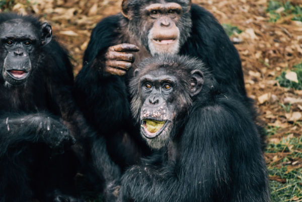 just jeff with friends