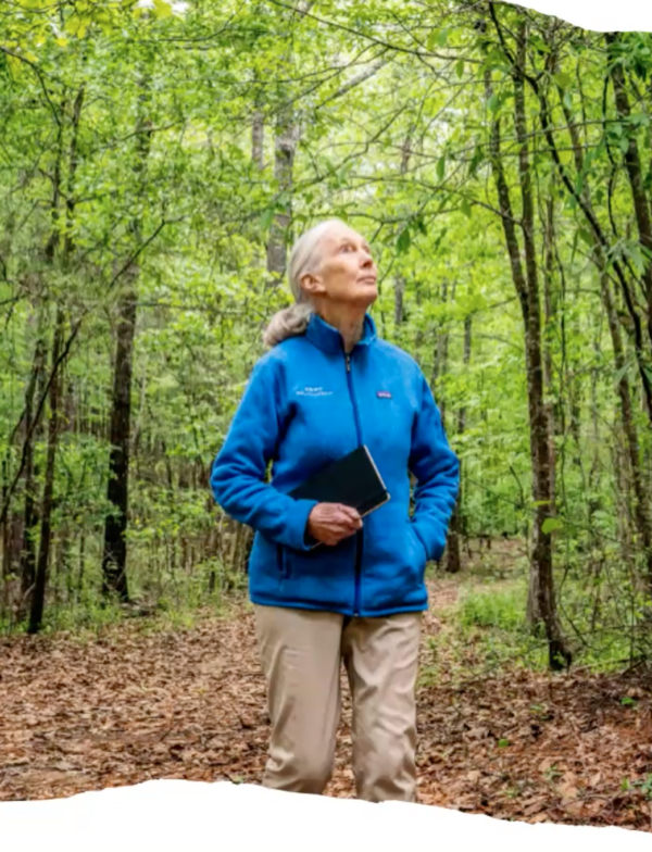 conservation webinar