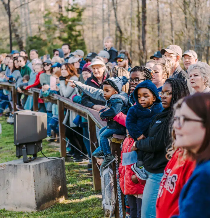 Visitors Looking at Chimps