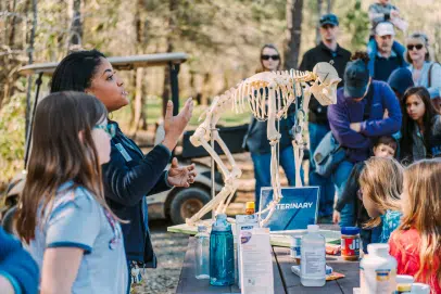 Chimp Haven - Monkey Skeleton